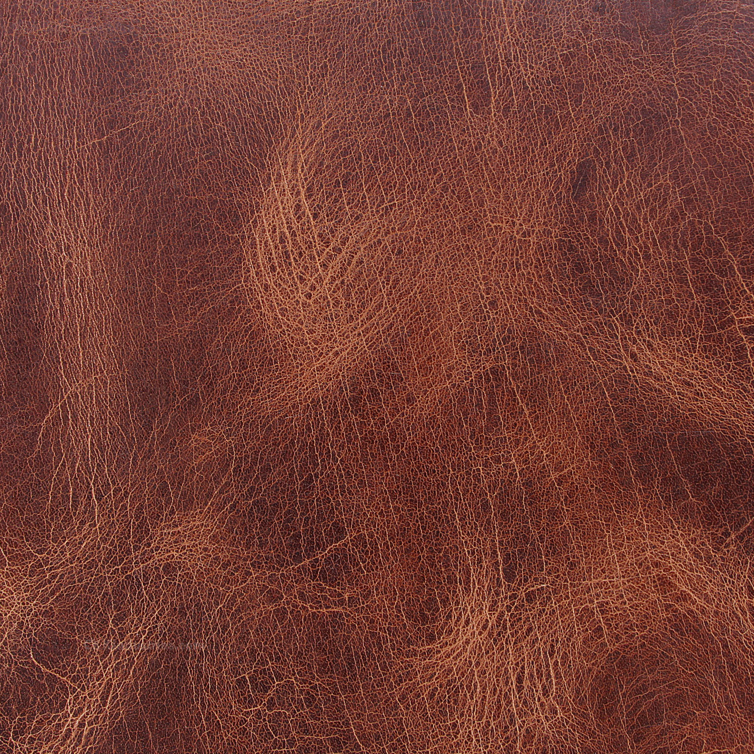 Cowhide