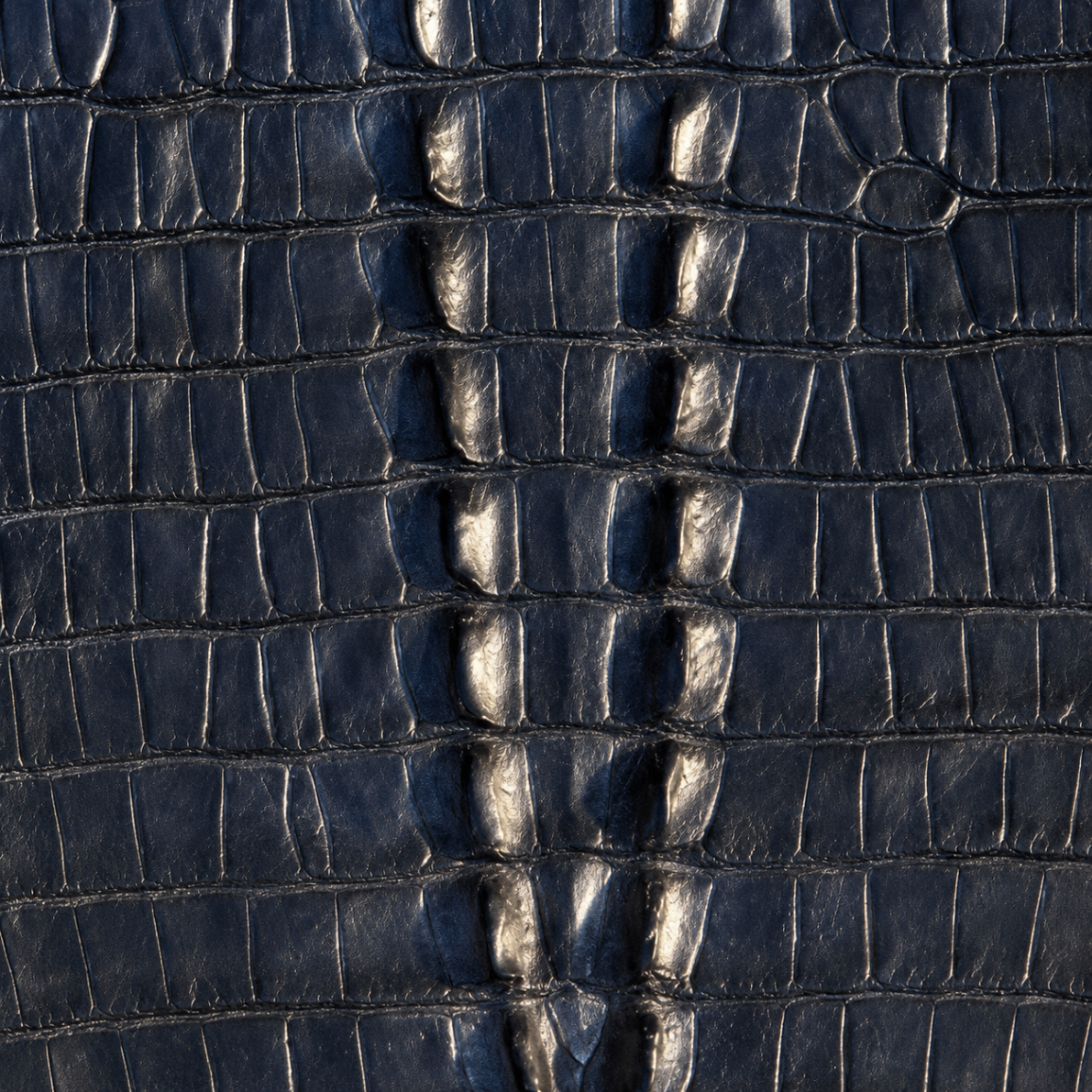 Caiman Tail